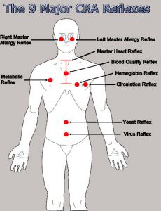 contact reflex analysis